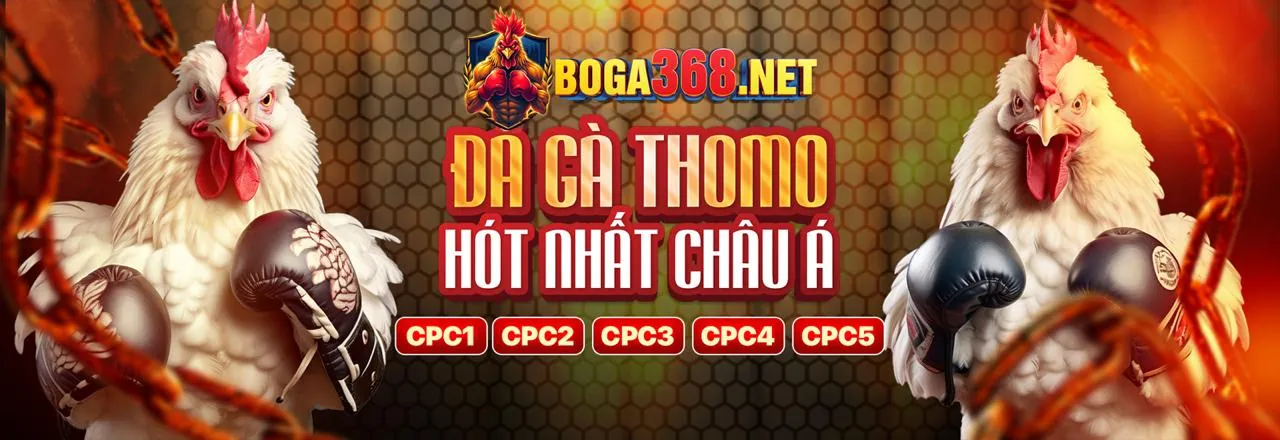 Đá gà trực tuyến 98win nhà cái